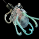 The robot with jellyfish